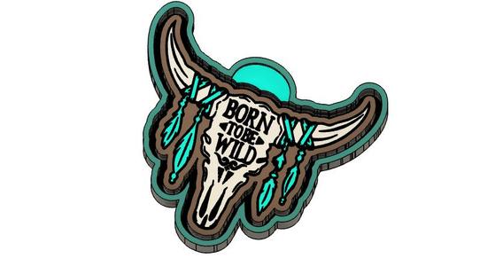 Longhorn Skulls w/Feathers