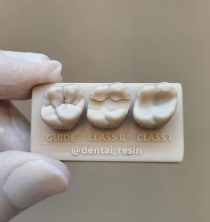 Upper first Molar training model