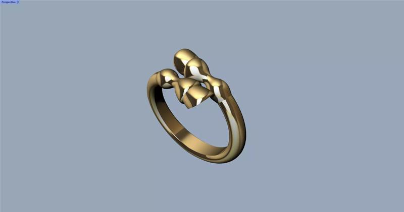 Horse leg ring