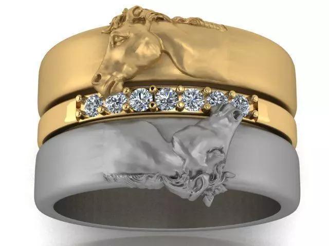 Horse ring