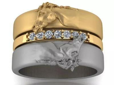 Horse ring
