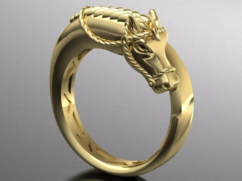horse ring