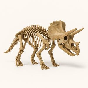 TriceratopsSkeleton