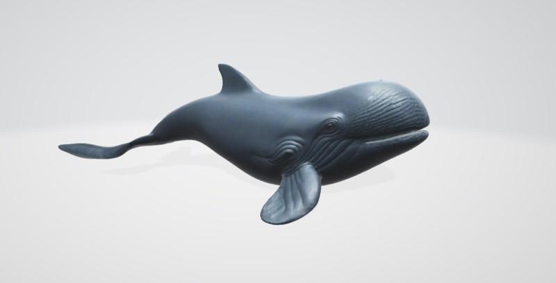 Whale