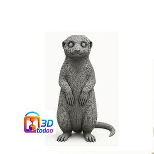 Meerkat meerkat