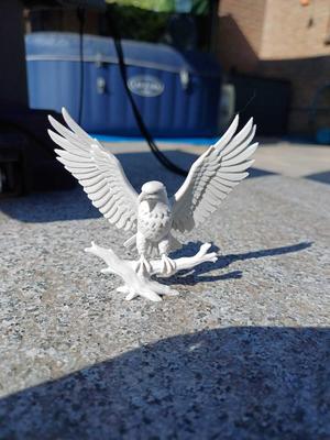 Majestic American Eagle