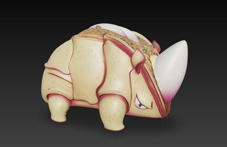 Rhinoceros Taco - 3D Model