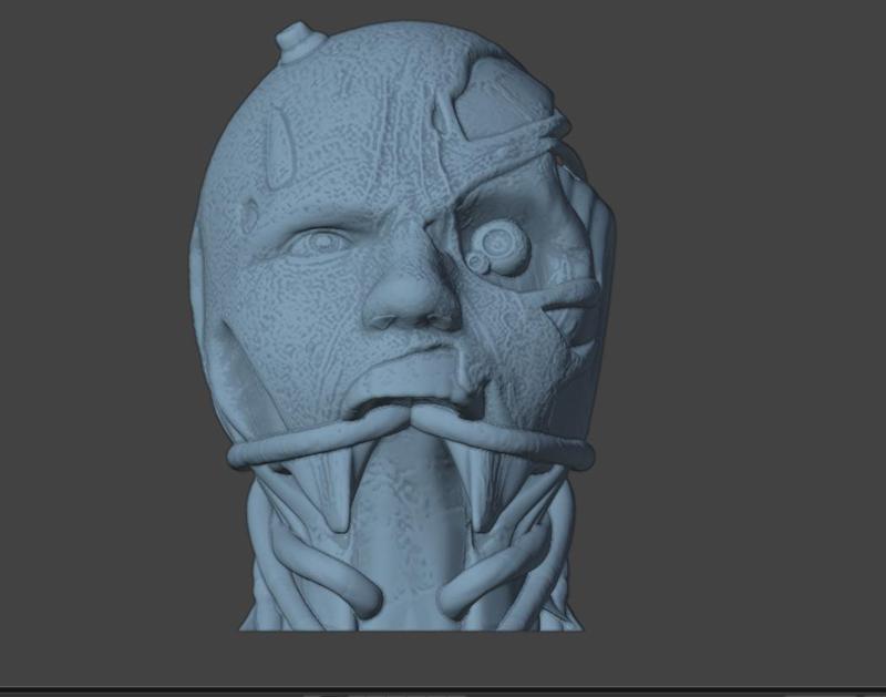 Evil Starkiller,  Star Wars the force Unleashed Bust Head, and Vase for 3d printing