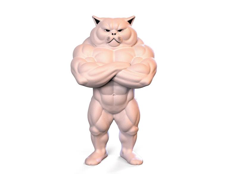 Bodybuilder cat.