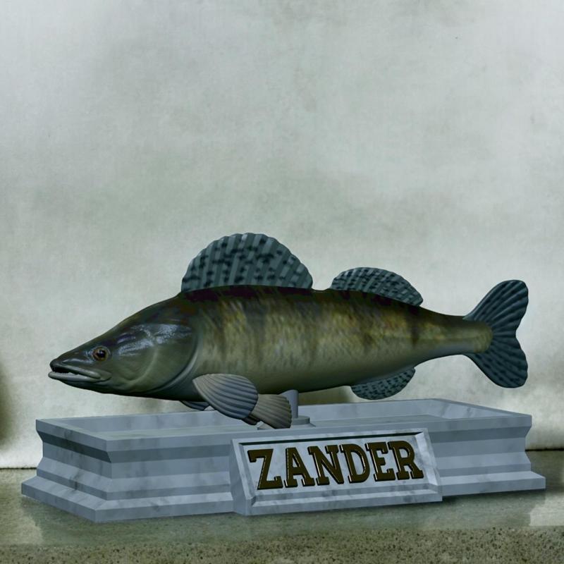fish zander / pikeperch / Sander lucioperca statue detailed texture for 3d printing