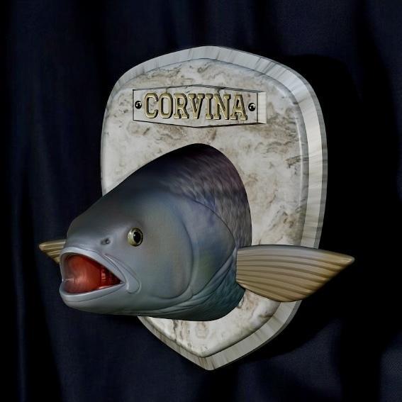 fish head trophy corvina / cilus gilberti open mouth statue detailed texture for 3d printing