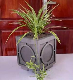Grafo Flowerpot