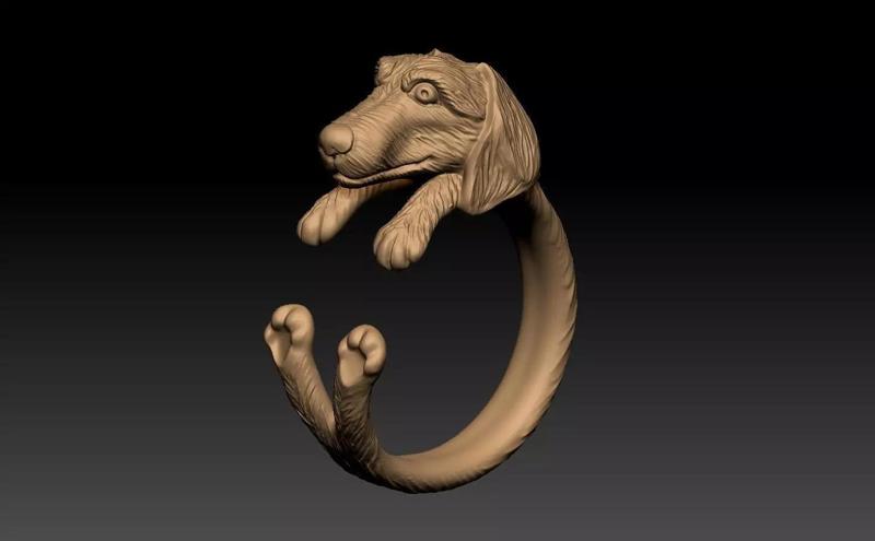 DOG RING