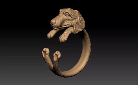 DOG RING
