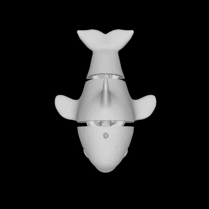 Cute 3D Flexi Killer Whale  Orca.