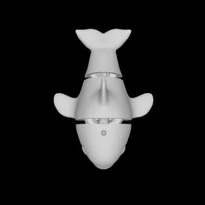 Cute 3D Flexi Killer Whale  Orca.