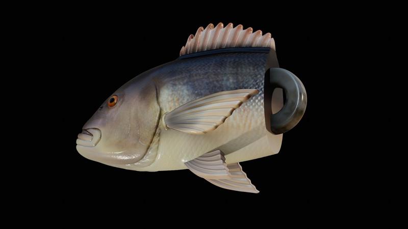 3D fish head Common dentex / dentex dentex keychain / pendant