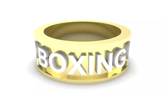 BOXING CHEMP Gold ring box 3D print model