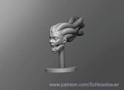Castlevania Medusa Head