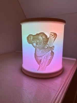 Koala litophane lamp