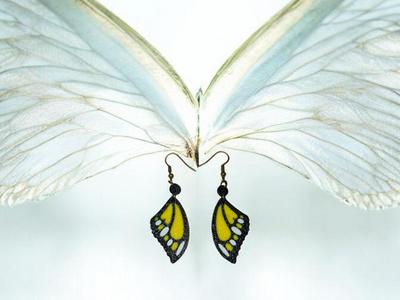 Butterfly wings earrings