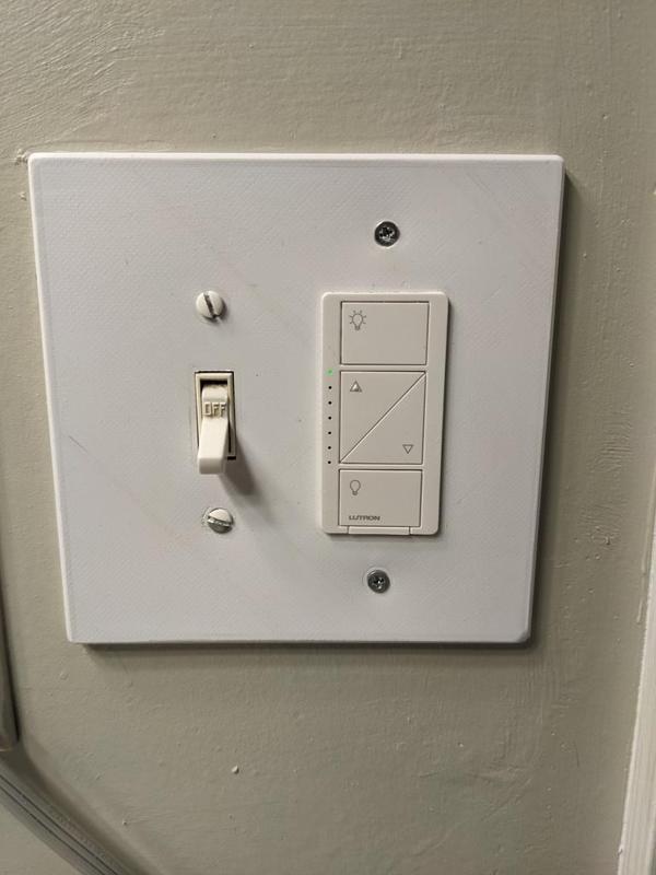 Lutron/ Light Switch 2 Gang Wall Plate
