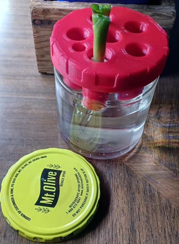 Pickle Jar Lid Green Onion Grower (stp included)