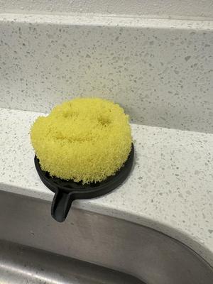 Scrub Daddy Drain