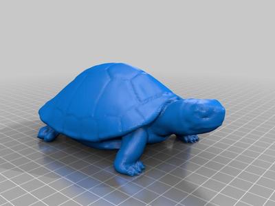 turtle cache
