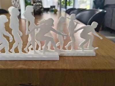 Human Evolution to Skateboarding 