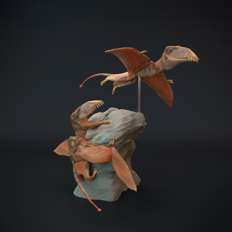 Dimorphodon diorama pterosaur