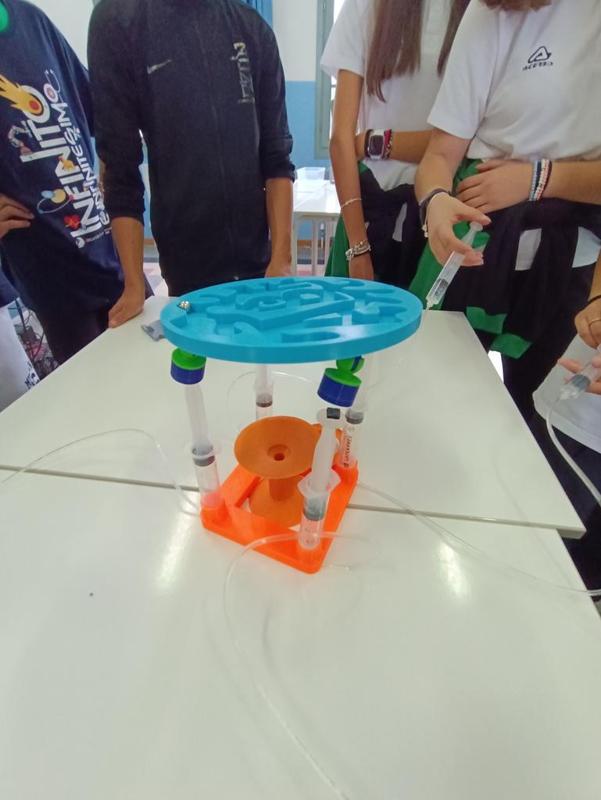 Cooperative hydraulic labyrinth