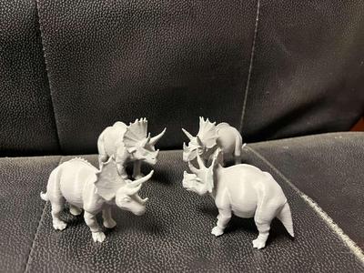 Triceratops dinosaur