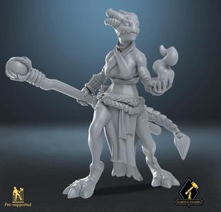 Dragonborn Sorceress
