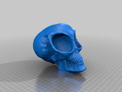 Alien Grey One Skull