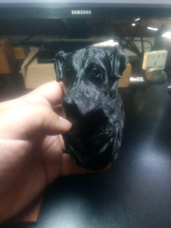 Negro Matapacos - Busto