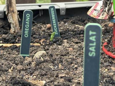 Plant Label (customizable)