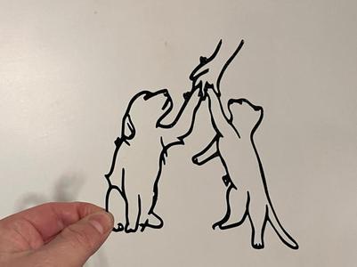 Check Cat and Dog