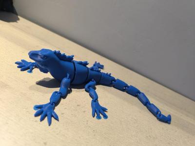Flexy Iguana