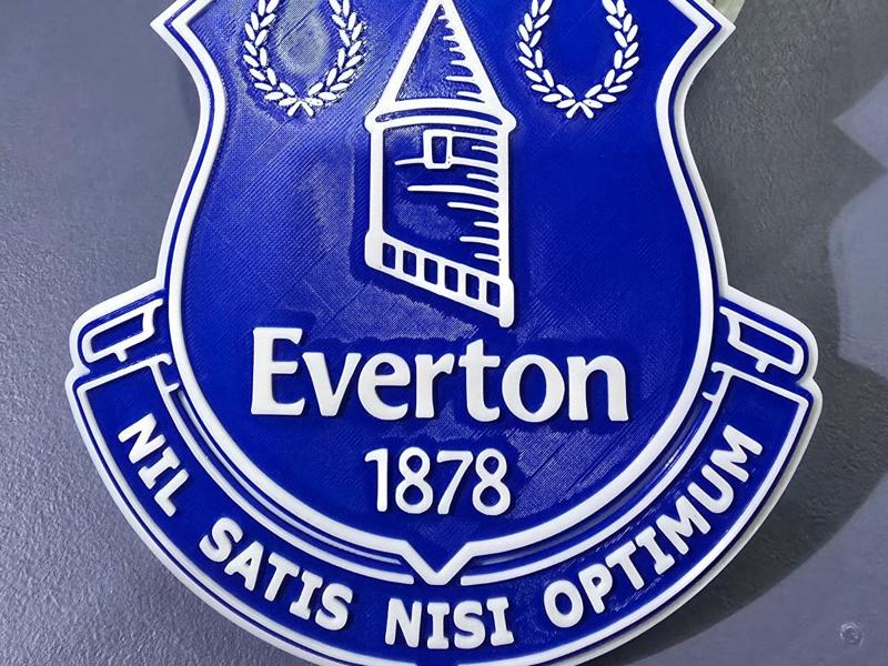 EVERTON 3D Logo v2 180MM series