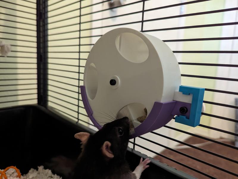 Modular/Removable Rat Foraging Wheel