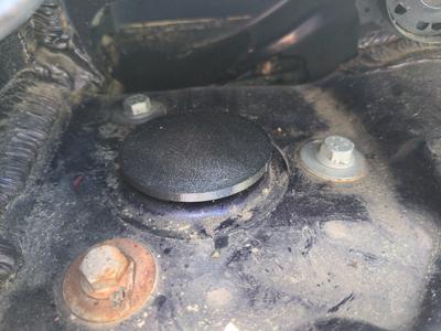 Renault Zoe Strut bearing protector cap