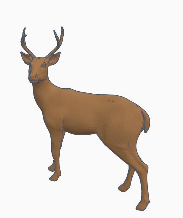 buck deer