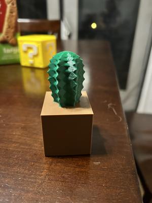 Fake Cactus