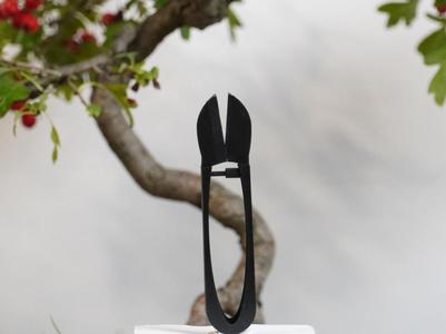 U-shaped Scissors - Cutting tool