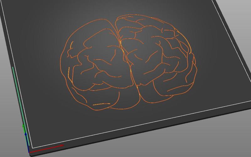 Tactile image: brain (front)