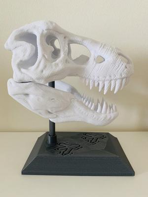 T-RexSkull_Base