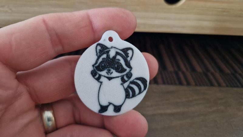 Pedro dancing baby racoon