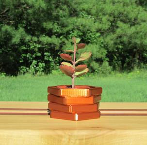 Hexagon planter with drain holes