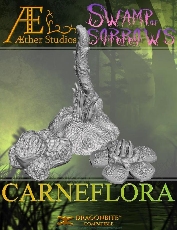 KS1SOS13 – Carneflora